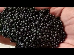 สายการผลิตปุ๋ยอินทรีย์