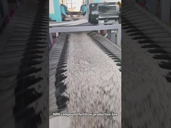 สายการผลิตปุ๋ยผสมแบบเม็ดด้วยเครื่องอัดเม็ดลูกกลิ้งคู่